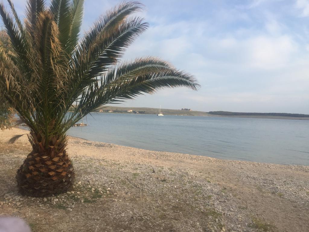 Apartments Vidovic Povljana Εξωτερικό φωτογραφία
